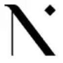 Nabni Real Estate Development logo