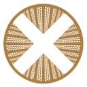 Townx Real Estate Development logo